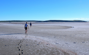 Image-preview_300x200