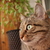 Image-square_50