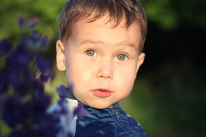 Image-preview_300x200