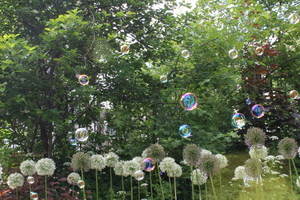 Image-preview_300x200