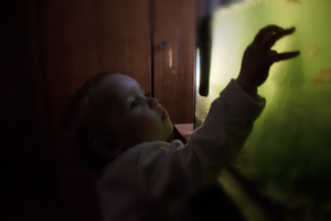 Image-preview_300x200