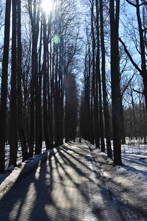 Image-preview_300x200