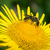 Image-square_50