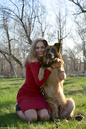 Image-preview_300x200