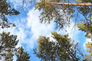 Image-preview_300x200