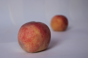 Image-preview_300x200