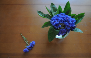 Image-preview_300x200