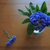 Image-square_50