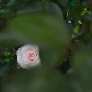 Image-preview_300x200