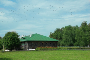 Image-preview_300x200