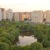 Image-square_50