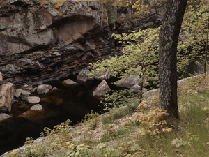 Image-preview_300x200