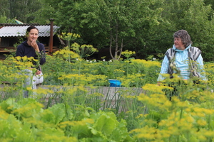 Image-preview_300x200