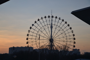 Image-preview_300x200