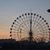 Image-square_50