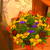 Image-square_50