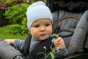 Image-preview_300x200