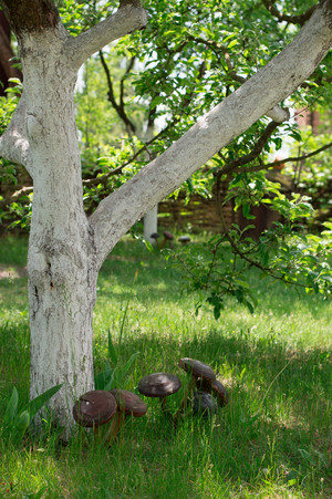 Image-preview_300x200