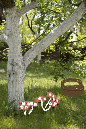 Image-preview_300x200