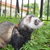 Image-square_50