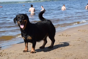 Image-preview_300x200