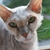 Image-square_50