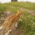 Image-square_50