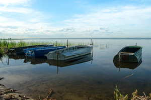 Image-preview_300x200