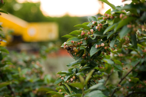 Image-preview_300x200