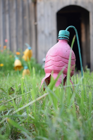 Image-preview_300x200