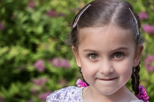 Image-preview_300x200