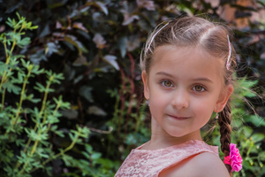 Image-preview_300x200