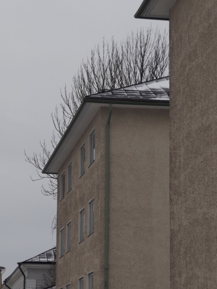 Image-normal