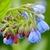 Image-square_50