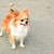 Image-square_50