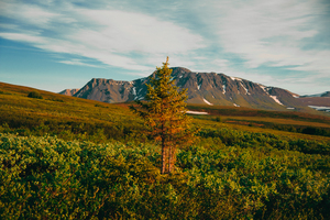 Image-preview_300x200