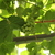 Image-square_50