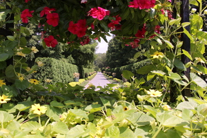 Image-preview_300x200