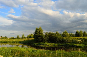 Image-preview_300x200