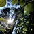 Image-square_50