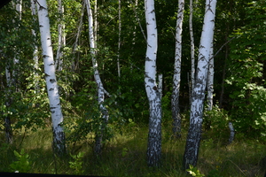 Image-preview_300x200