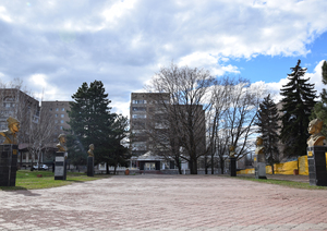 Image-preview_300x200