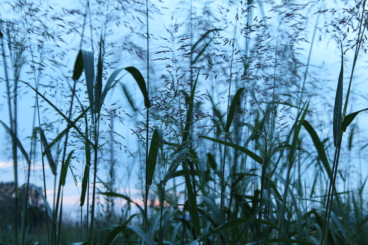 Image-normal