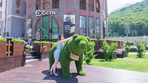 Image-preview_300x200