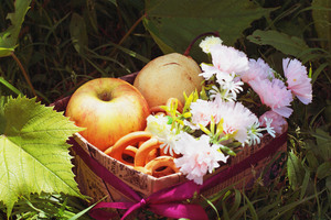 Image-preview_300x200