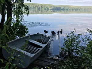 Image-preview_300x200