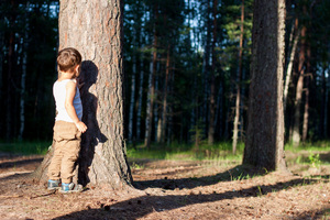 Image-preview_300x200