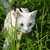 Image-square_50