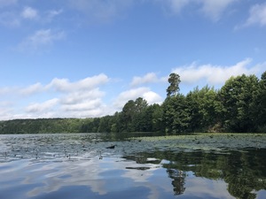 Image-preview_300x200