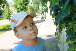 Image-preview_300x200